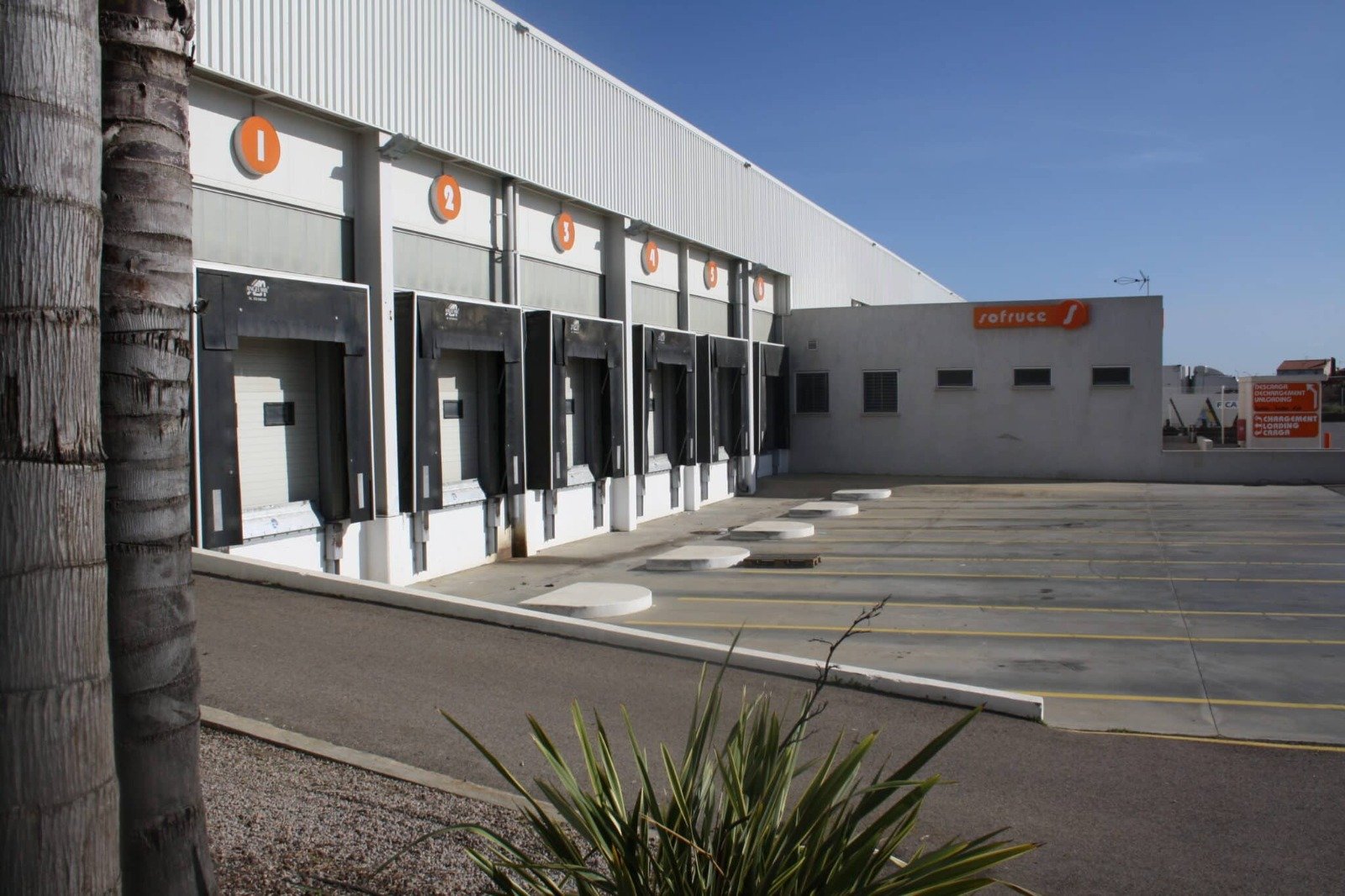 WhatsApp Image 2026-01-09 at 10.24.50